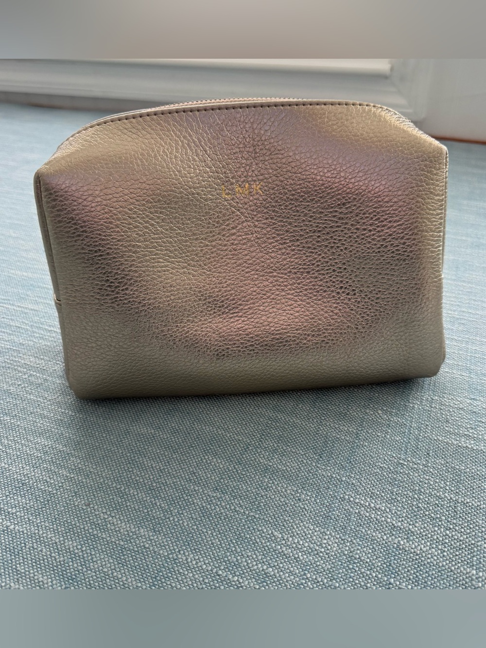 Cuyana Shimmer Metallic Pebbled Leather Tech Organizer Case Bag Monogram LMK
